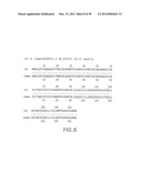 Nucleic Acids, Polypeptides, Compositions, and Methods for Modulating     Apoptosis diagram and image