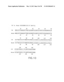 Nucleic Acids, Polypeptides, Compositions, and Methods for Modulating     Apoptosis diagram and image