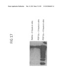 Nucleic Acids, Polypeptides, Compositions, and Methods for Modulating     Apoptosis diagram and image