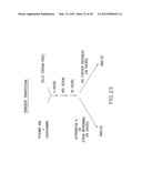 Nucleic Acids, Polypeptides, Compositions, and Methods for Modulating     Apoptosis diagram and image