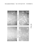 Nucleic Acids, Polypeptides, Compositions, and Methods for Modulating     Apoptosis diagram and image