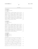 Nucleic Acids, Polypeptides, Compositions, and Methods for Modulating     Apoptosis diagram and image