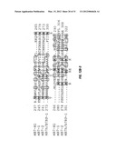 B7-H7 ANTIBODIES AND METHOD OF USE diagram and image