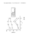 B7-H7 ANTIBODIES AND METHOD OF USE diagram and image