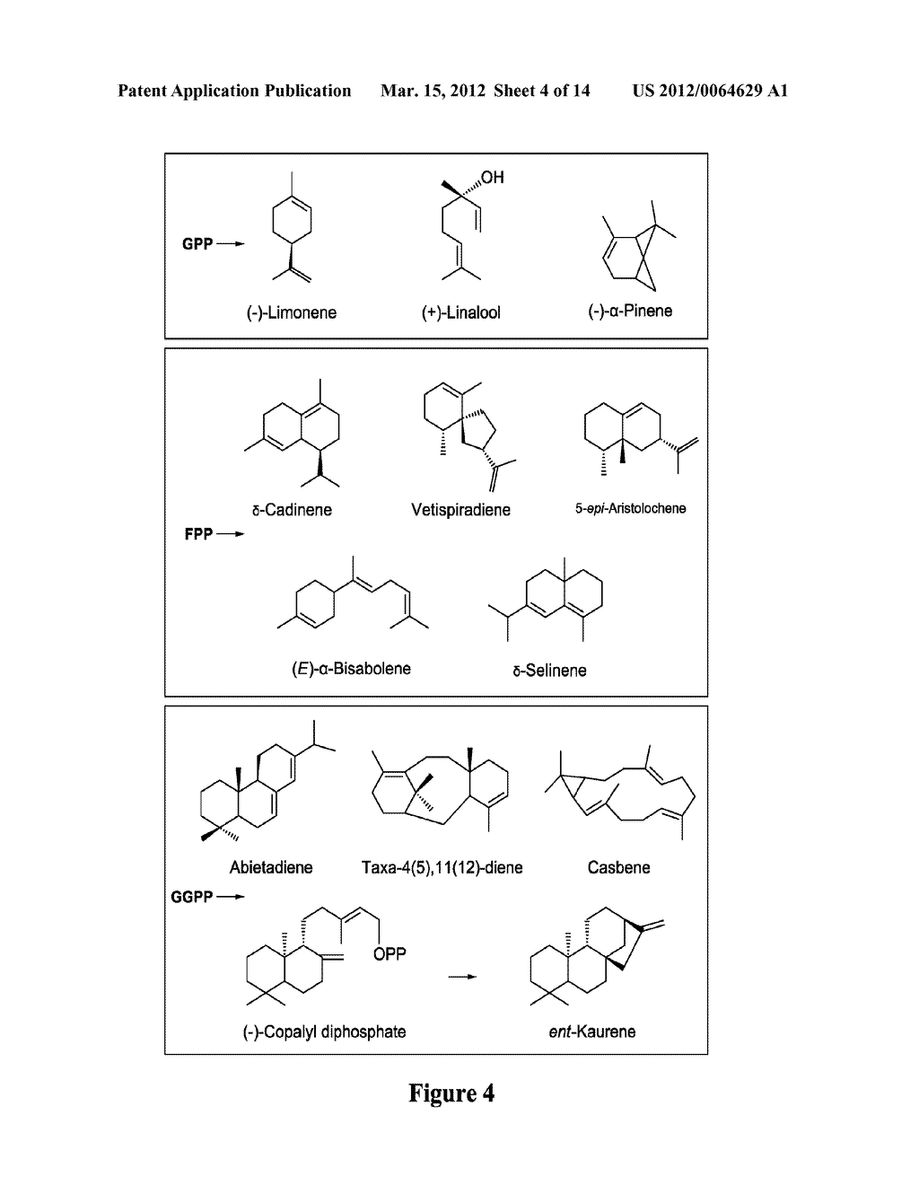 VARIANT ISOPRENOID PRODUCING ENZYMES AND USES THEREOF - diagram, schematic, and image 05