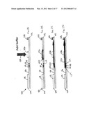 PREWETTING LATERAL FLOW TEST STRIP diagram and image