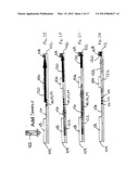 PREWETTING LATERAL FLOW TEST STRIP diagram and image