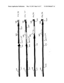 PREWETTING LATERAL FLOW TEST STRIP diagram and image