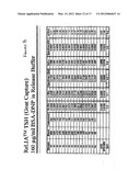 PREWETTING LATERAL FLOW TEST STRIP diagram and image