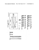 PREWETTING LATERAL FLOW TEST STRIP diagram and image