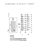 PREWETTING LATERAL FLOW TEST STRIP diagram and image