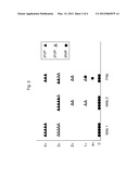 METHOD FOR THE DETERMINATION OF P BLOOD GROUPS diagram and image