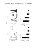 METHOD FOR THE DETERMINATION OF P BLOOD GROUPS diagram and image