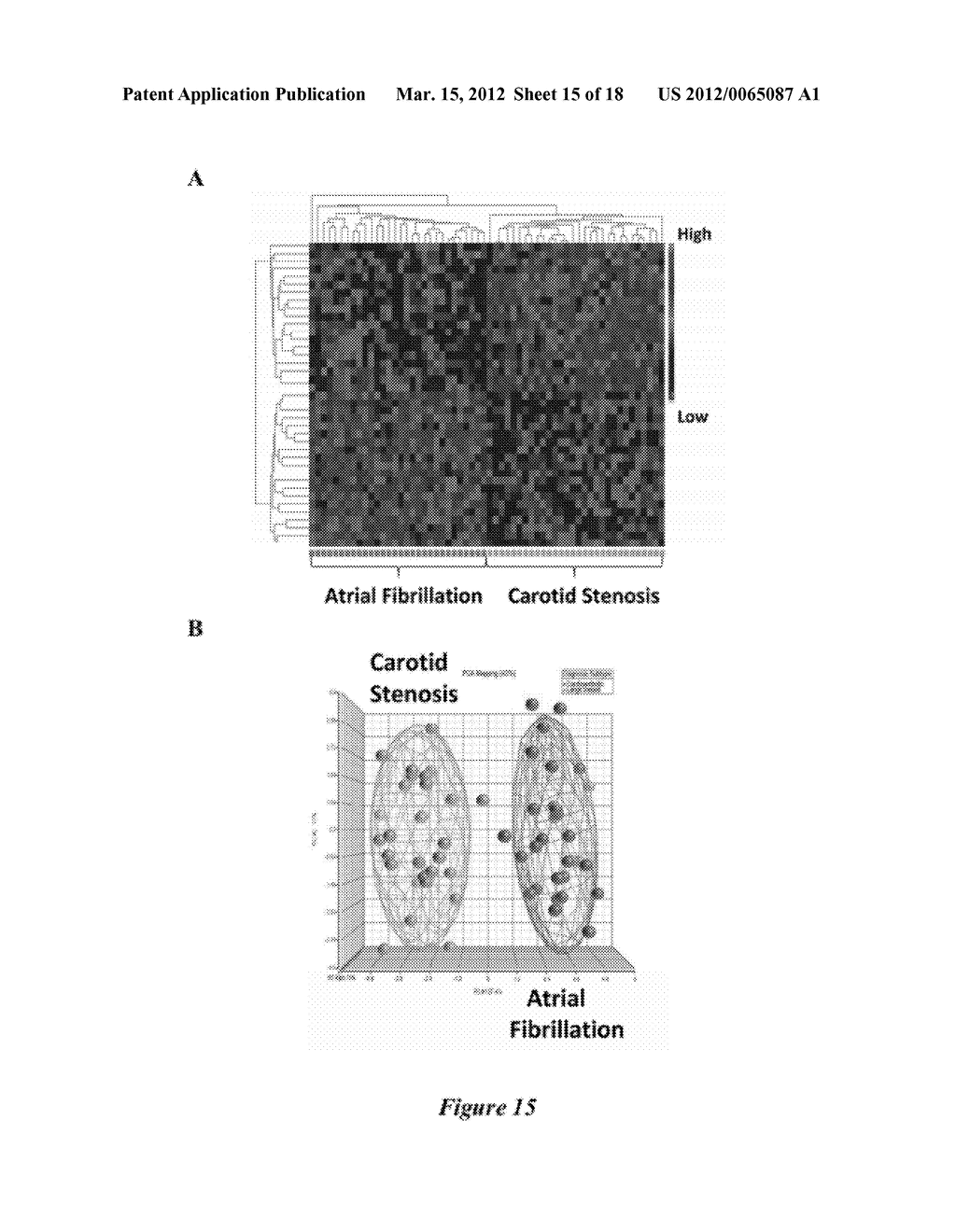 BIOMARKERS FOR DIAGNOSIS OF STROKE AND ITS CAUSES - diagram, schematic, and image 16