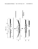 Chimeric Oligonucleotides for Ligation-Enhanced Nucleic Acid Detection,     Methods and Compositions Therefor diagram and image