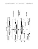 Chimeric Oligonucleotides for Ligation-Enhanced Nucleic Acid Detection,     Methods and Compositions Therefor diagram and image