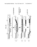 Chimeric Oligonucleotides for Ligation-Enhanced Nucleic Acid Detection,     Methods and Compositions Therefor diagram and image