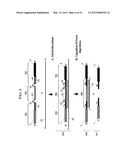 Chimeric Oligonucleotides for Ligation-Enhanced Nucleic Acid Detection,     Methods and Compositions Therefor diagram and image