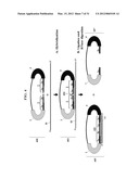 Chimeric Oligonucleotides for Ligation-Enhanced Nucleic Acid Detection,     Methods and Compositions Therefor diagram and image