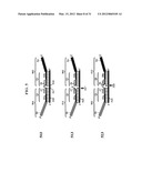 Chimeric Oligonucleotides for Ligation-Enhanced Nucleic Acid Detection,     Methods and Compositions Therefor diagram and image