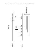 Chimeric Oligonucleotides for Ligation-Enhanced Nucleic Acid Detection,     Methods and Compositions Therefor diagram and image