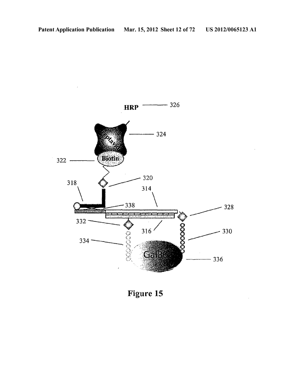 Synthetic Antibodies - diagram, schematic, and image 13