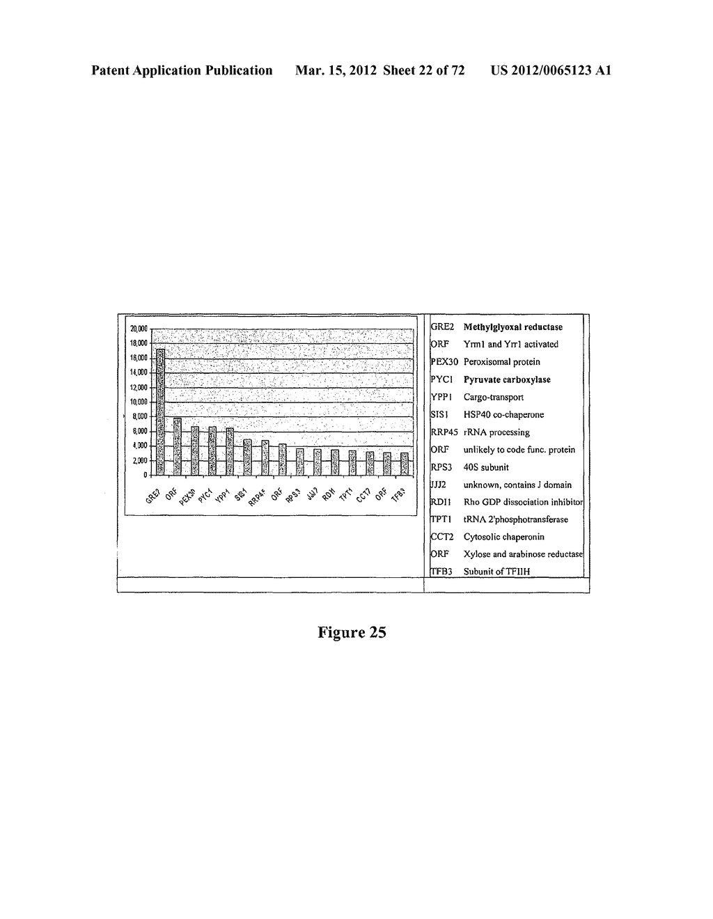 Synthetic Antibodies - diagram, schematic, and image 23