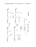 Synthetic Antibodies diagram and image