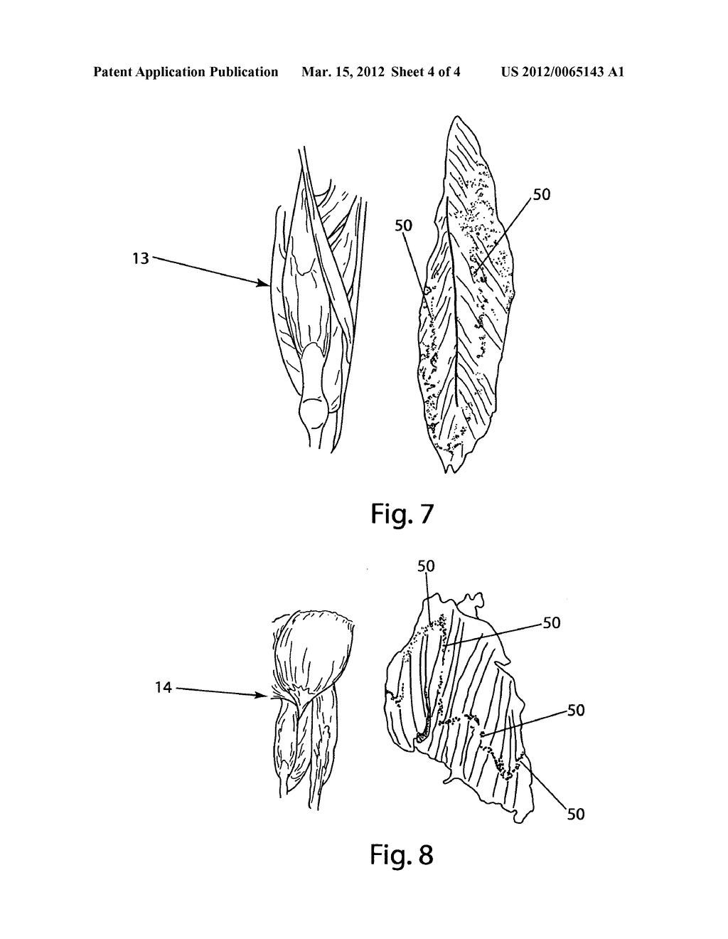 Dose and localization of botulinum toxins in skin and muscle - diagram, schematic, and image 05