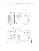 USE OF THE GTPASE RAB27B TO DIAGNOSE AND TREAT POOR PROGNOSIS     ESTROGEN-RECEPTOR-POSITIVE BREAST CANCER diagram and image