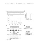 USE OF THE GTPASE RAB27B TO DIAGNOSE AND TREAT POOR PROGNOSIS     ESTROGEN-RECEPTOR-POSITIVE BREAST CANCER diagram and image