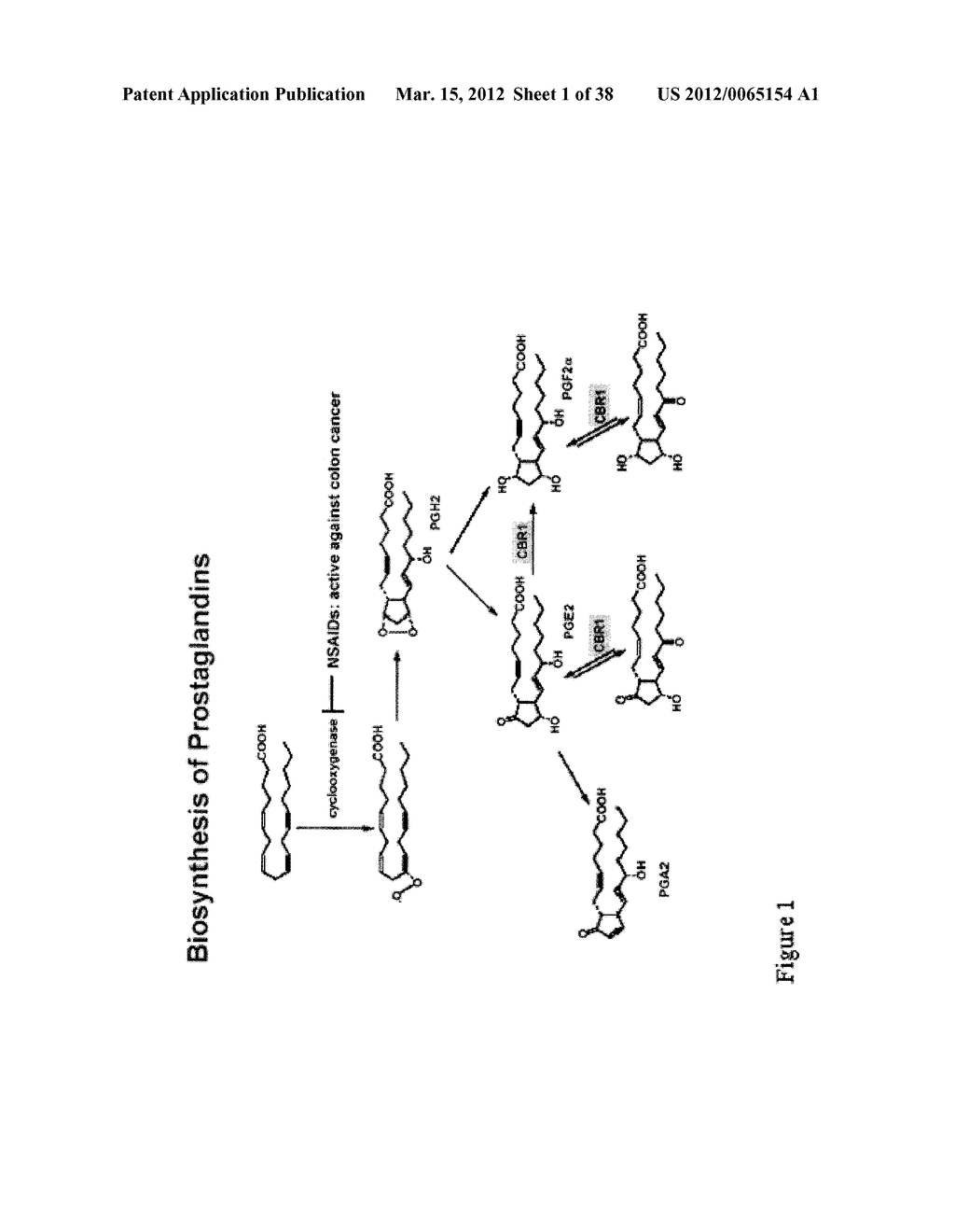 Pyrazolo Pyrimidine Derivatives and Methods of Use Thereof - diagram, schematic, and image 02