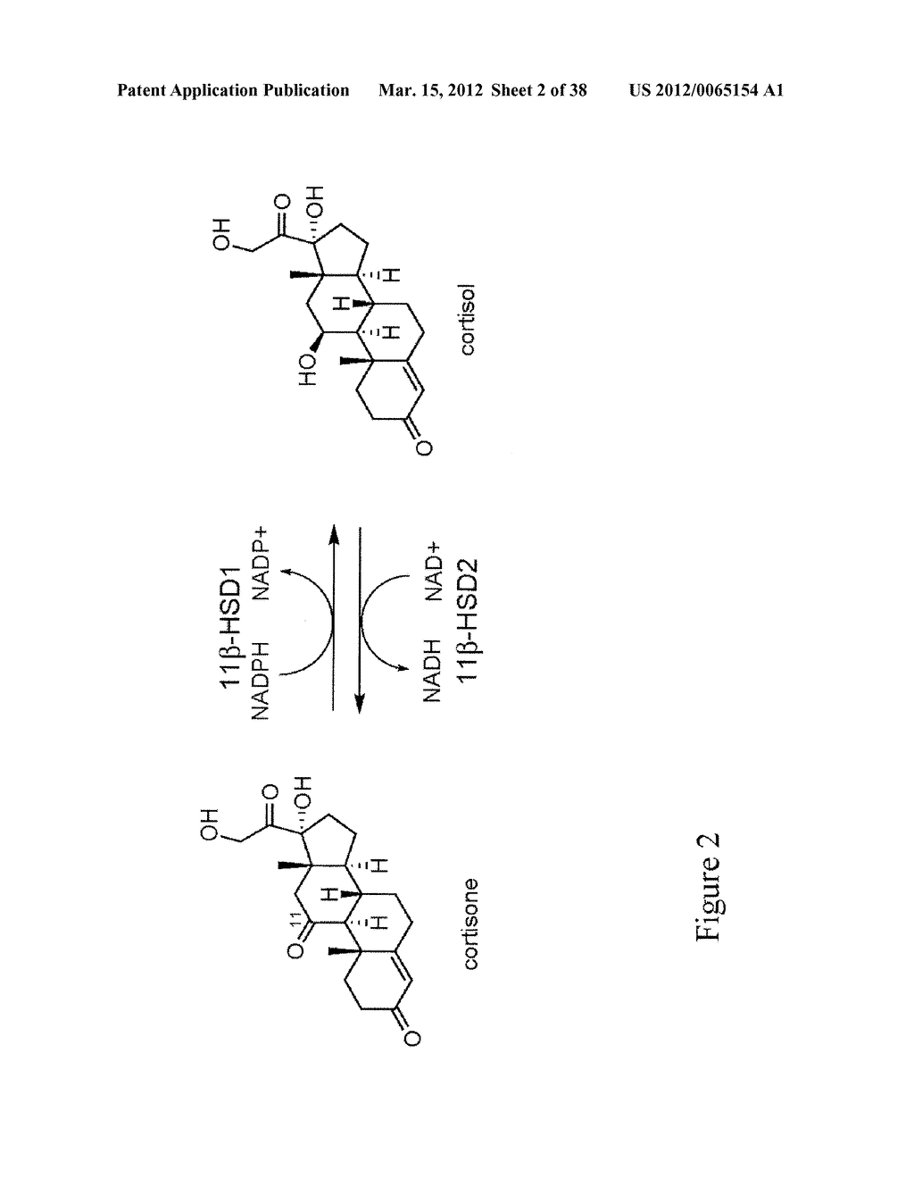 Pyrazolo Pyrimidine Derivatives and Methods of Use Thereof - diagram, schematic, and image 03