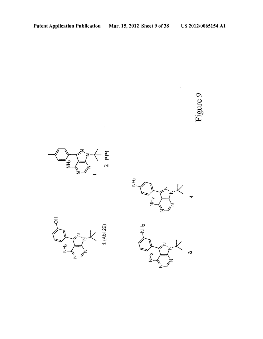 Pyrazolo Pyrimidine Derivatives and Methods of Use Thereof - diagram, schematic, and image 10