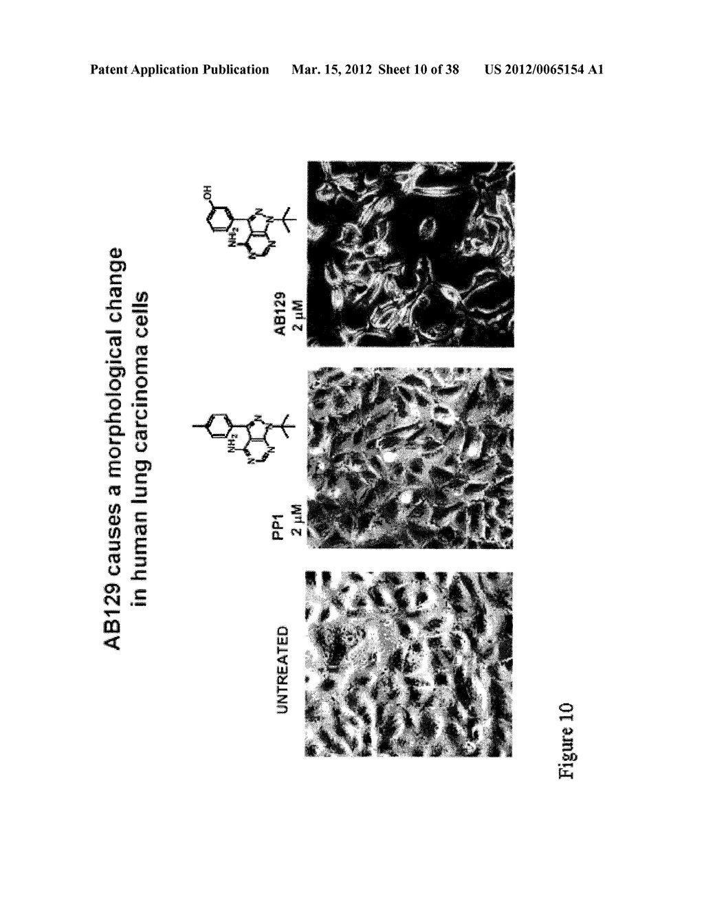 Pyrazolo Pyrimidine Derivatives and Methods of Use Thereof - diagram, schematic, and image 11