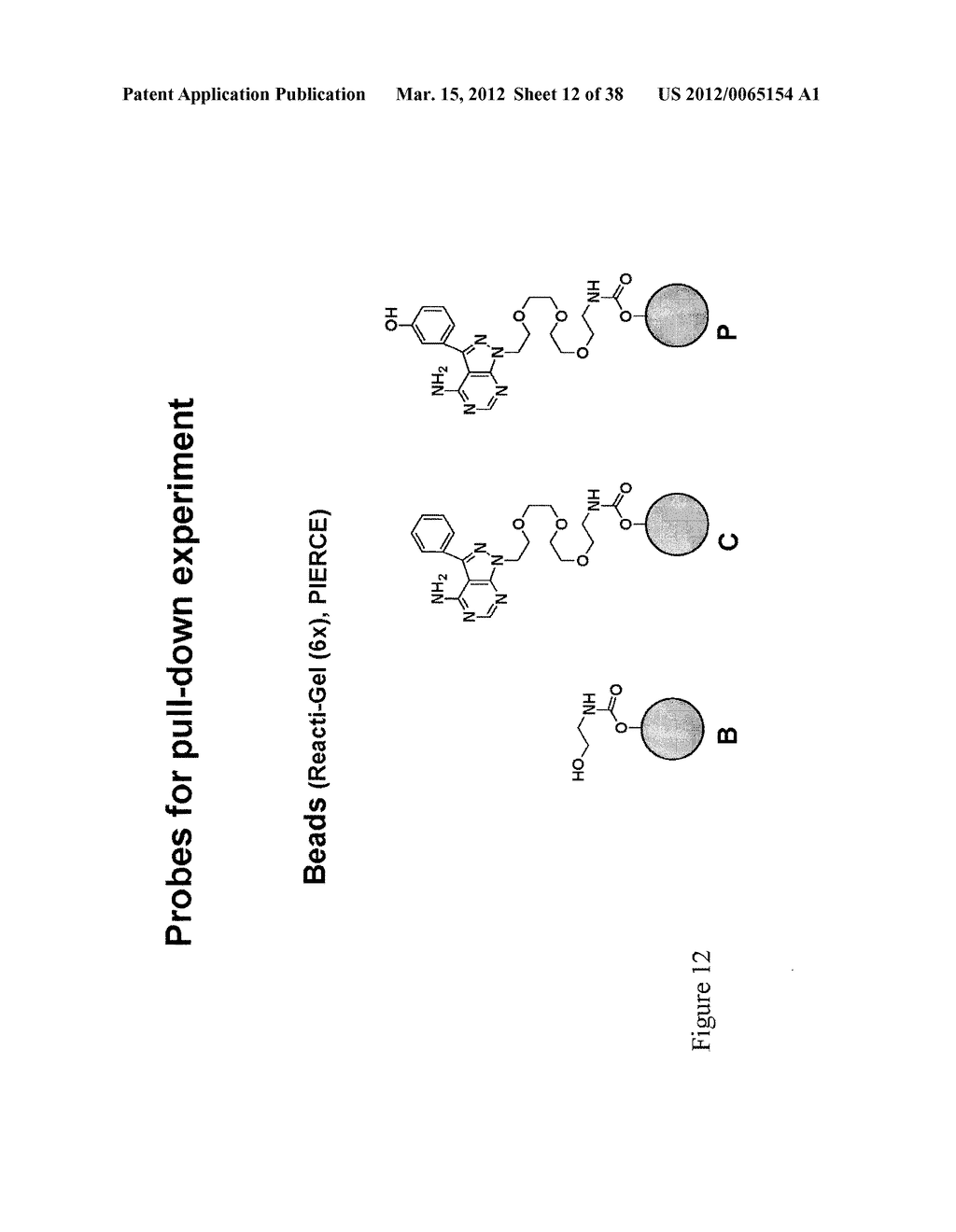 Pyrazolo Pyrimidine Derivatives and Methods of Use Thereof - diagram, schematic, and image 13