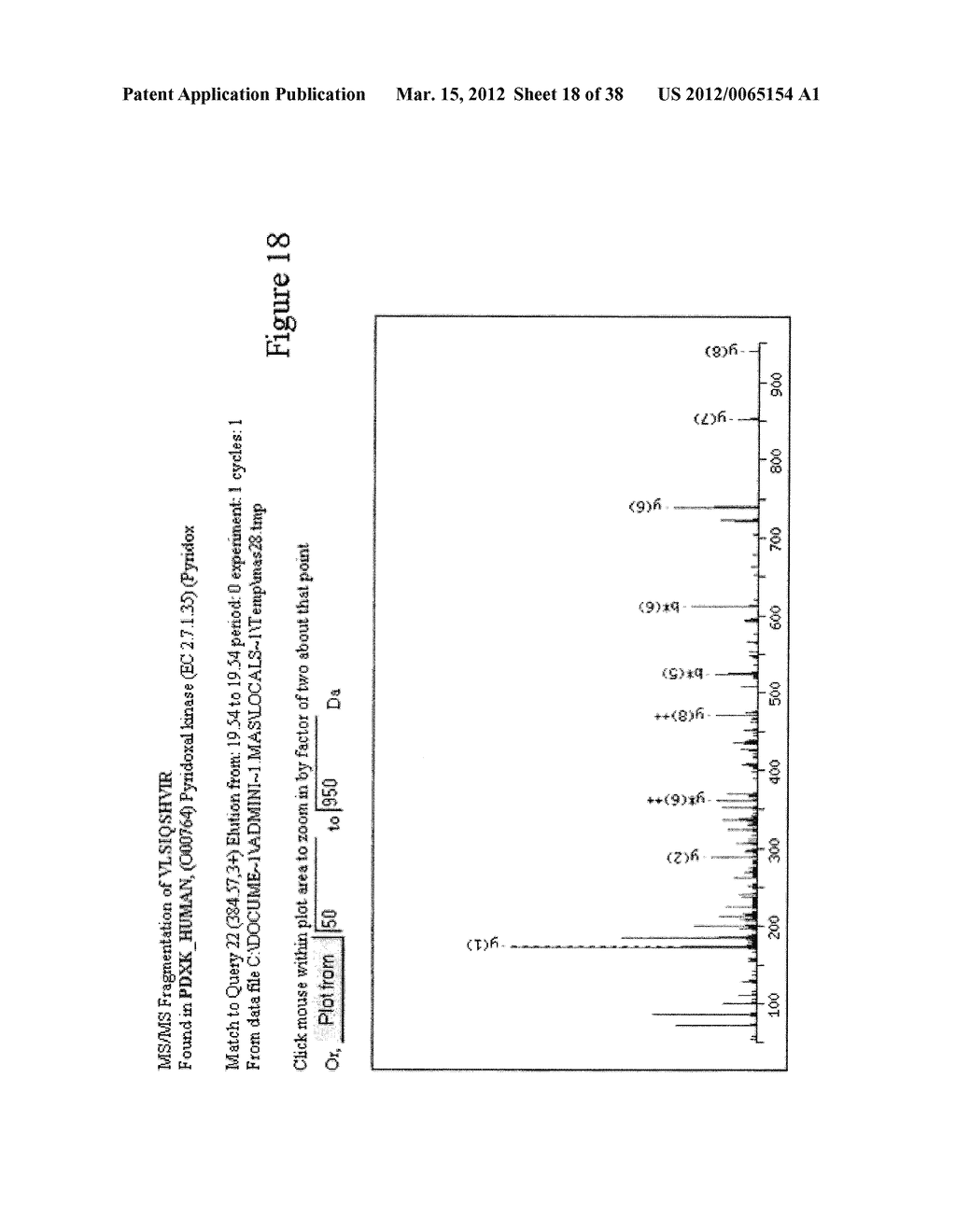 Pyrazolo Pyrimidine Derivatives and Methods of Use Thereof - diagram, schematic, and image 19