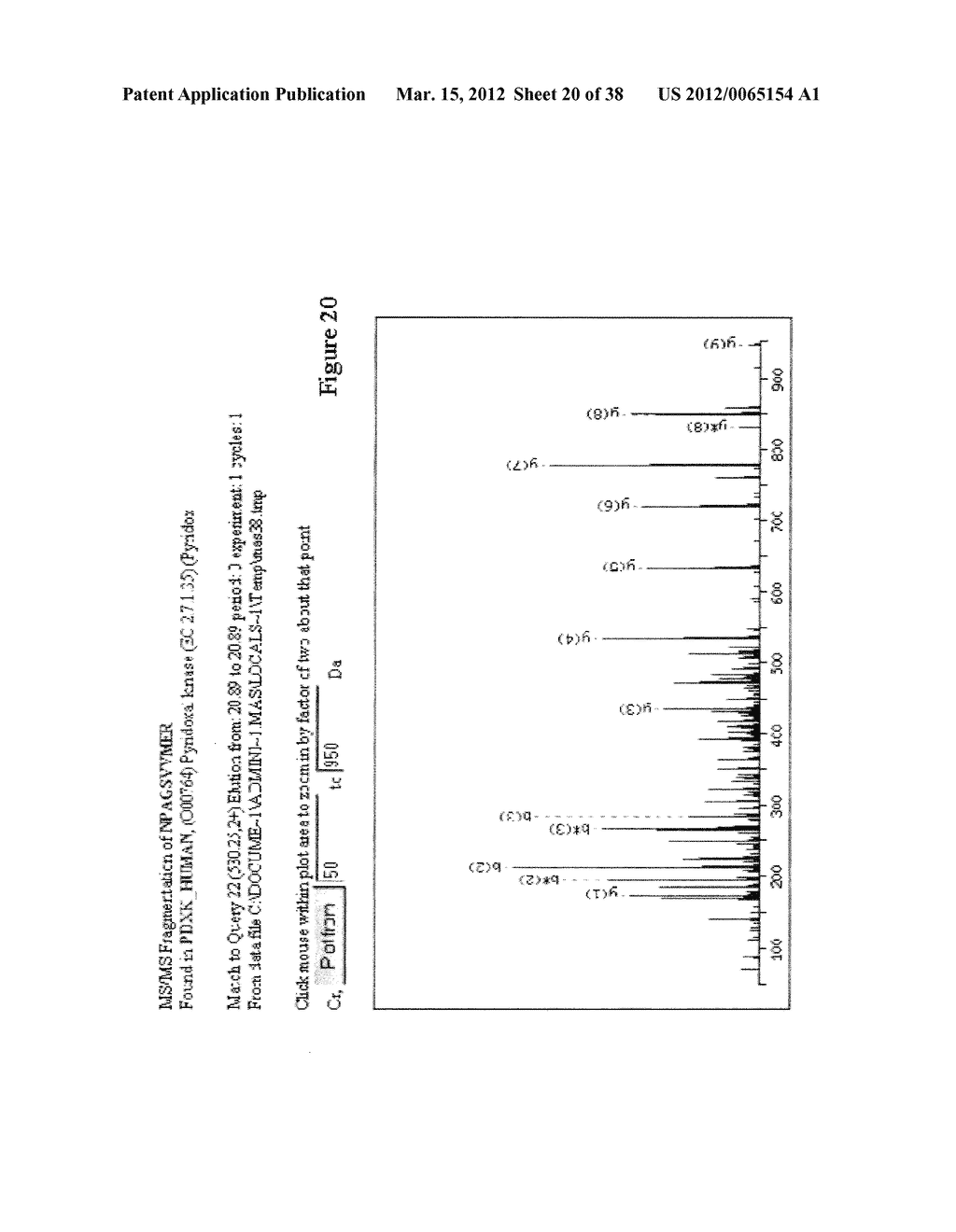 Pyrazolo Pyrimidine Derivatives and Methods of Use Thereof - diagram, schematic, and image 21