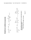 Pyrazolo Pyrimidine Derivatives and Methods of Use Thereof diagram and image