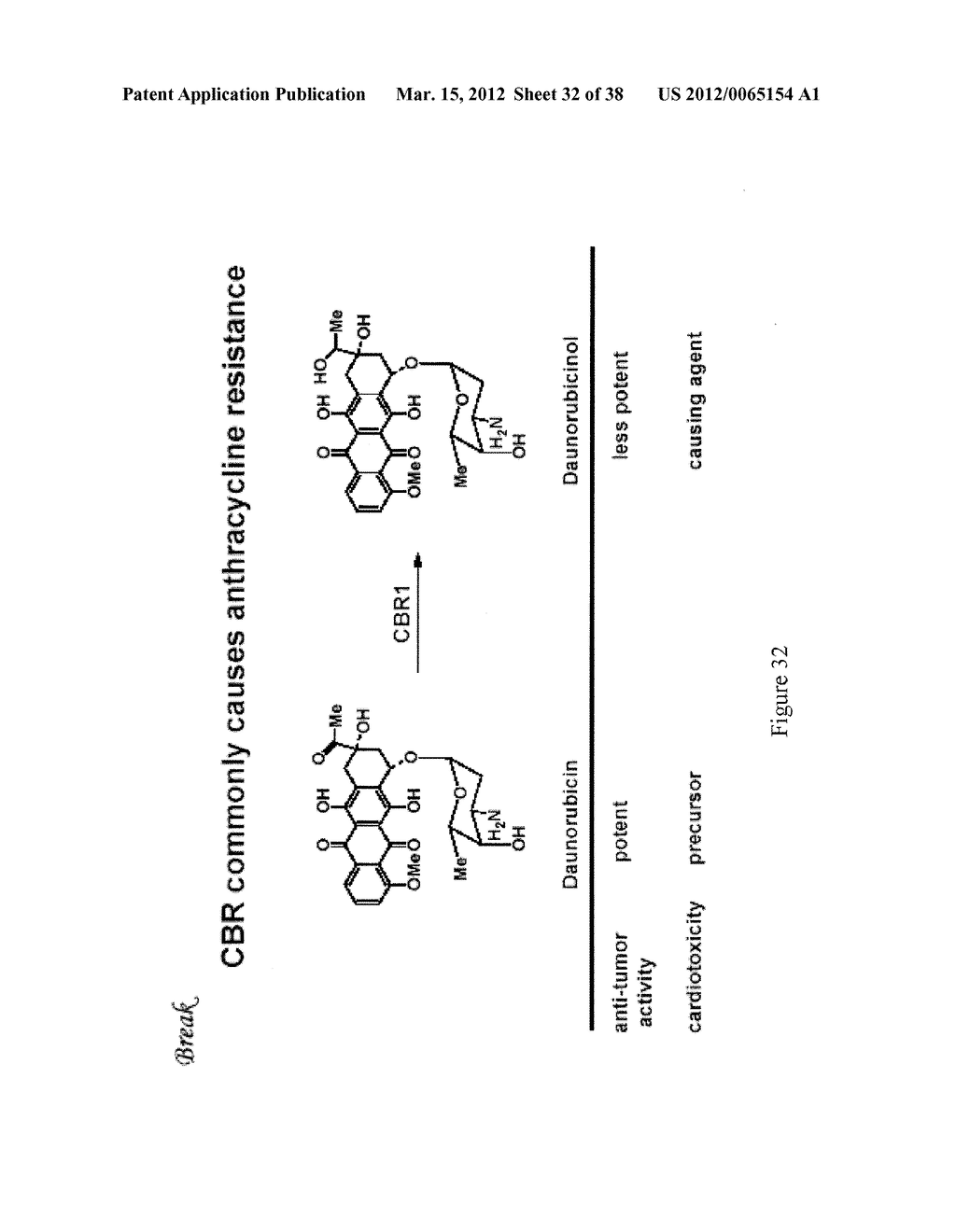 Pyrazolo Pyrimidine Derivatives and Methods of Use Thereof - diagram, schematic, and image 33