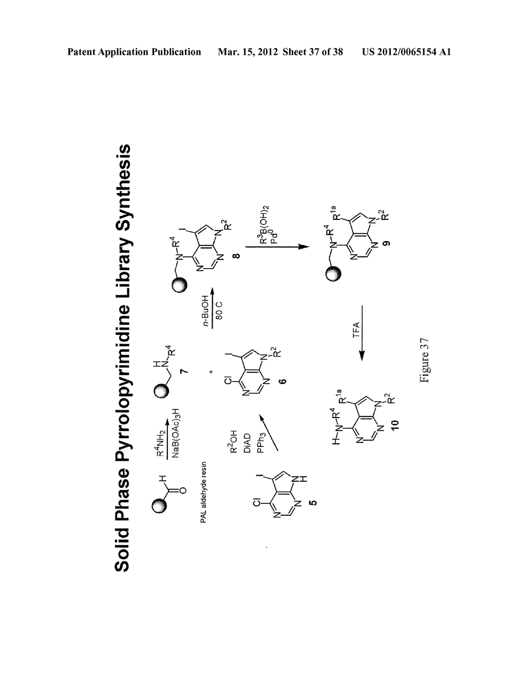 Pyrazolo Pyrimidine Derivatives and Methods of Use Thereof - diagram, schematic, and image 38