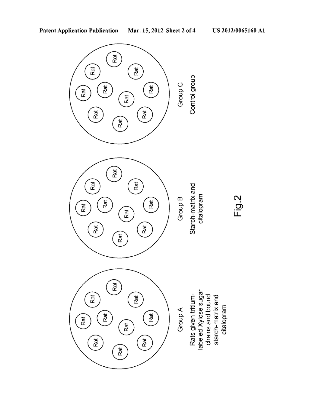 DELIVERY SYSTEM FOR DELIVERY OF A SUBSTANCE INTO THE ORAL CAVITY - diagram, schematic, and image 03