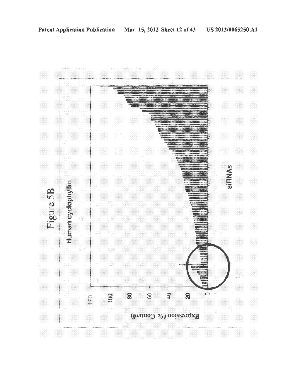 siRNA Targeting Apolipoprotein B (APOB) - diagram, schematic, and image 13