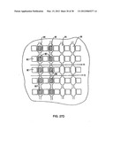 MICROFLUIDIC CHEMOSTAT diagram and image