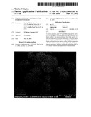 POROUS POLYMERIC MATERIALS FOR HYDROGEN STORAGE diagram and image