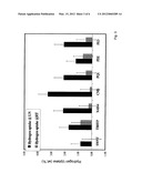 POROUS POLYMERIC MATERIALS FOR HYDROGEN STORAGE diagram and image