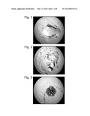 SYNTHESIS OF STABLE ELASTOMERIC NEGATIVE ACOUSTIC CONTRAST PARTICLES diagram and image