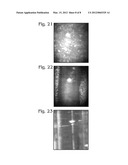 SYNTHESIS OF STABLE ELASTOMERIC NEGATIVE ACOUSTIC CONTRAST PARTICLES diagram and image