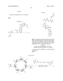 CYCLODEXTRIN-BASED POLYMERS FOR THERAPEUTICS DELIVERY diagram and image