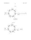 CYCLODEXTRIN-BASED POLYMERS FOR THERAPEUTICS DELIVERY diagram and image